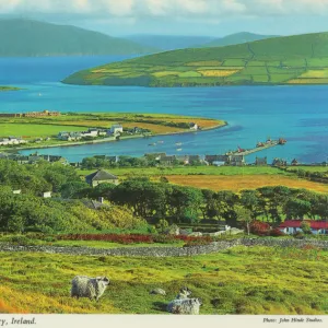 Dingle Town & Harbour County Kerry Ireland