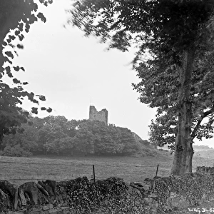 Distant view of Audleys Castle, Strangford