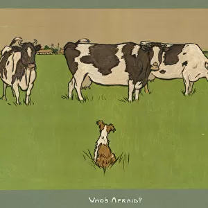 Dog, 3 Cows in Field