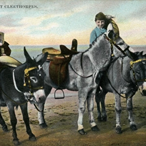 Donkeys on the Sands, Cleethorpes, Lincolnshire