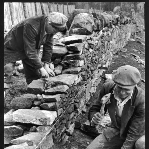 Dry Stone Walling