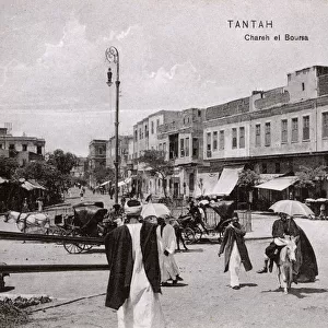 Egypt Collection: Tanta