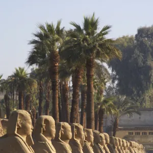 EGYPT. TEMPLE OF LUXOR. Sphinxes Avenue. New Kingdom. Ancie