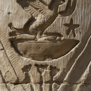 Egyptian Art. Temple of Kom Ombo. Bird. Relief