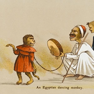 Egyptian Dancing Monkey