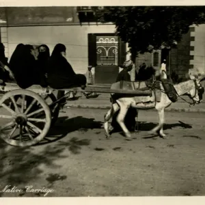 Egyptian Women travelling on a donkey cart - Cairo