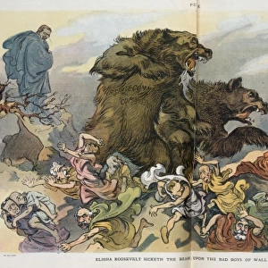 Elisha Roosevelt sicketh the bears upon the bad boys of Wall