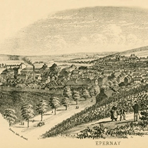 Epernay Vineyards, 1877