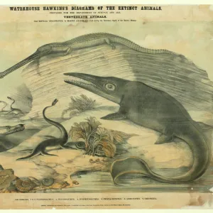 Extinct marine reptiles