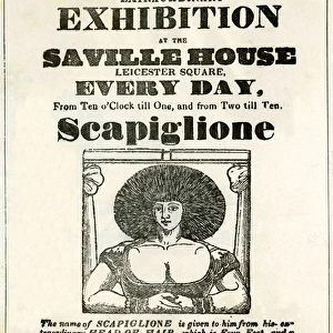 Extraordinary exhibition of Scapiglione