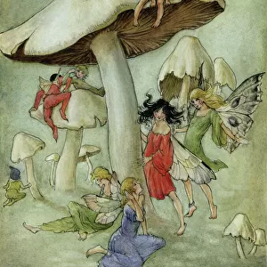 Fairies and toadstools