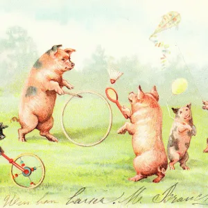 Humour Fine Art Print Collection: Postcard