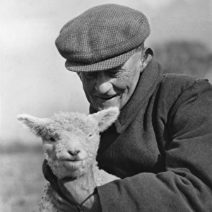 Farmer & Lamb