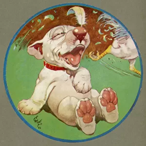 A Feathered Bonzo - cover of the Third Studdy Dogs Portfolio