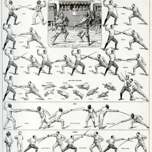 Popular Themes Poster Print Collection: Fencing