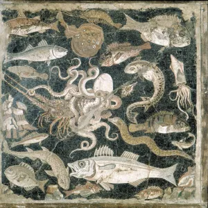 Animal Jigsaw Puzzles, Prints & Wall Art: Crustaceans