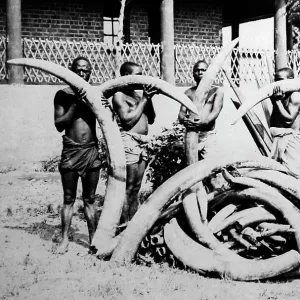 Fort Johnston, Lake Nyasa, Nyasaland, Africa now Malawi