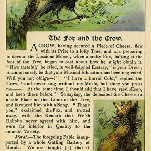 The fox & the crow