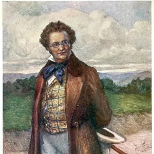 Franz Schubert / Nowak