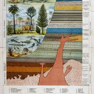 Posters Framed Art Print Collection: Scientific Posters