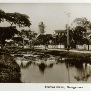 South America Poster Print Collection: Guyana