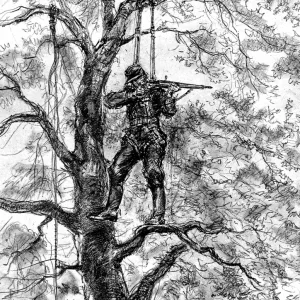 German Sniper in a Tree, Normandy 1944 Print German Sniper in a Tree, Normandy 1944 Print