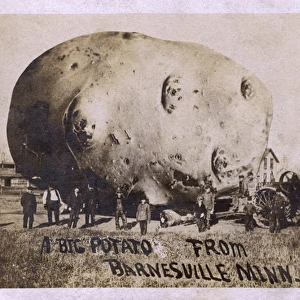 Giant potato, Barnesville, Minnesota, USA