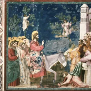 Giotto