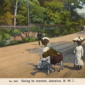 Going to market - Jamaica