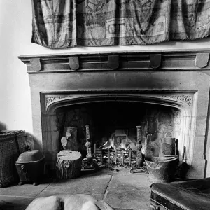 A great dane dog in front of a log fire at Plas Teg