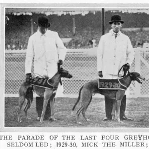 Four Greyhound Derby winners