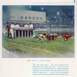 Greyhound Racing at White City