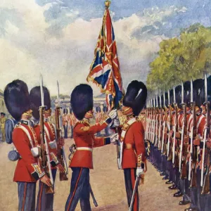 Grenadier