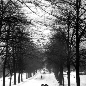 Hampstead Heath 1939