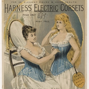 Harness Electric Corset