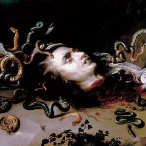 The Head of Medusa