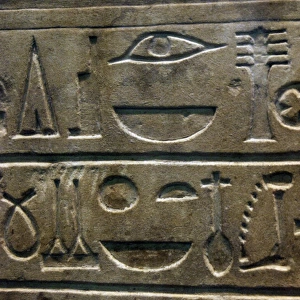 Hieroglyph. Sela of Amenemhat I. 12th Dynasty. Middle Kingdo