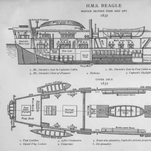 Hms Beagle / Darwins Ship