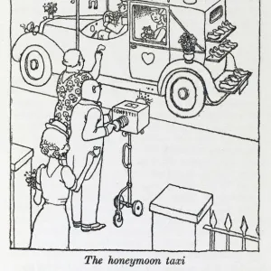 Honeymoon taxi / W H Robinson