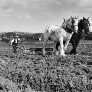 Boroughs Photographic Print Collection: Harrow