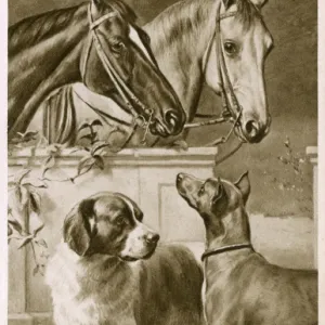 Two Horses and a pair of dogs