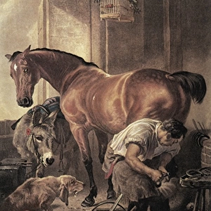 Horseshoer. Coloured engraving (19th c. )