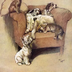 A House Full by Cecil Aldin