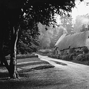 Idyllic Thatched Cottage