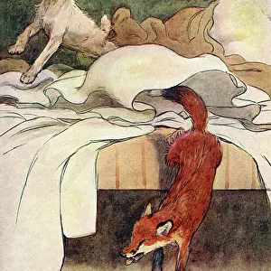 Illustration, Peter, the fox terrier, discovers a fox