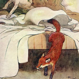 Illustration, Peter, the fox terrier, discovers a fox