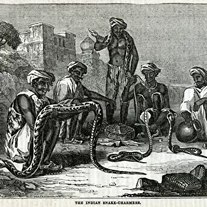 Indian snake-charmers