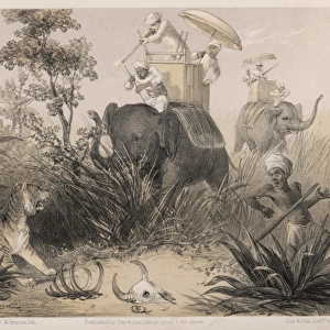 Indian Tiger Hunt 1860