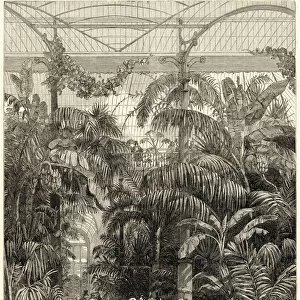 Heritage Sites Collection: Royal Botanic Gardens, Kew