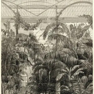 Interior of the Great Palm House, Kew Gardens, 1852